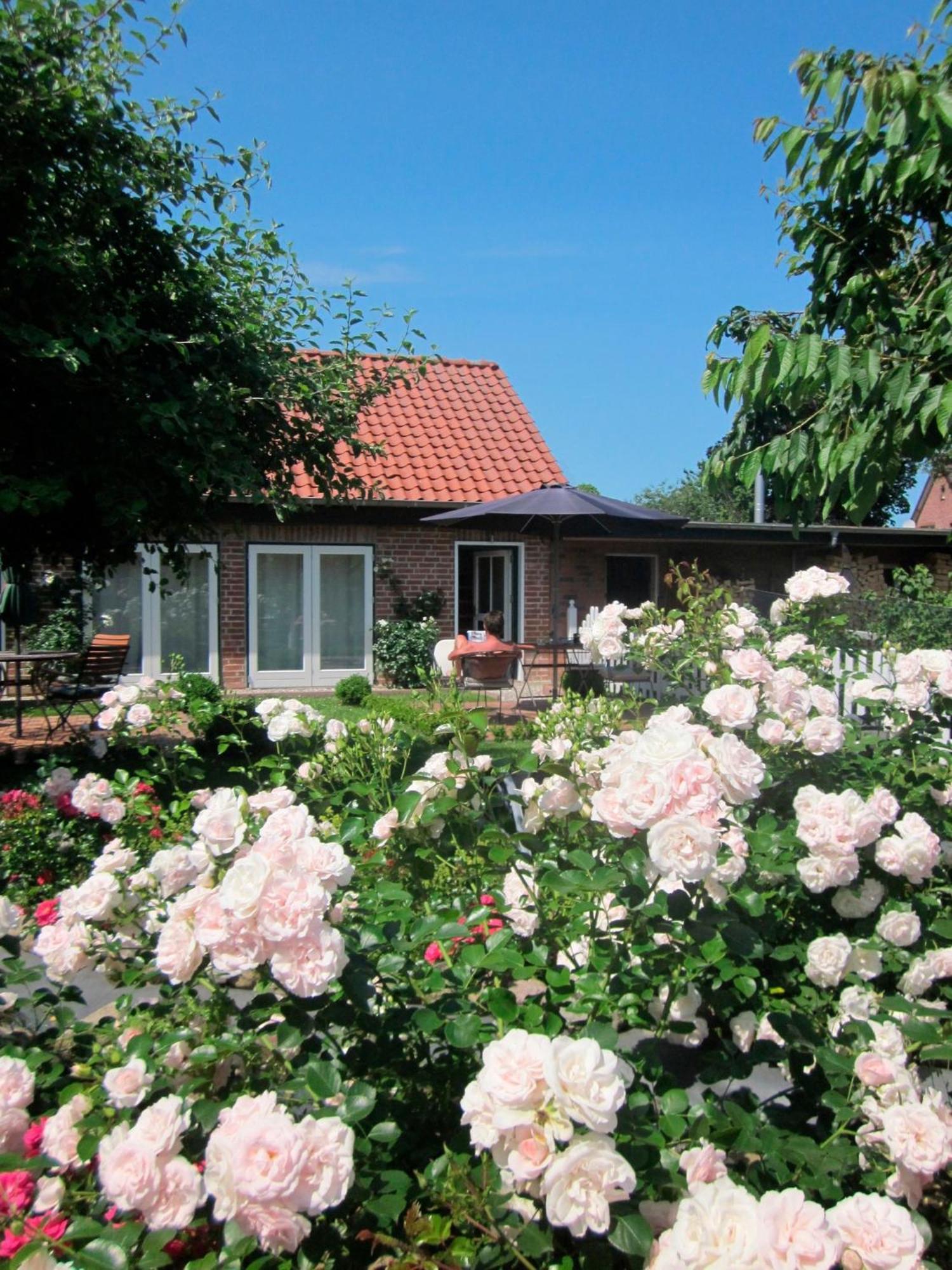 "Rosenkate 1" Lejlighed Riepsdorf Eksteriør billede